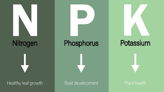 Essential Macro-nutrients 