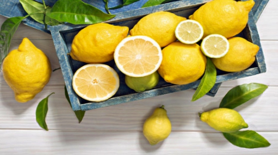 Meyer Lemon Fruit