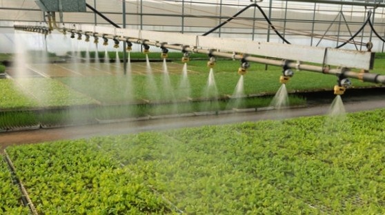 Watering Hydroponics