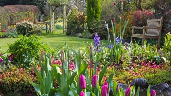 Garden Flowers