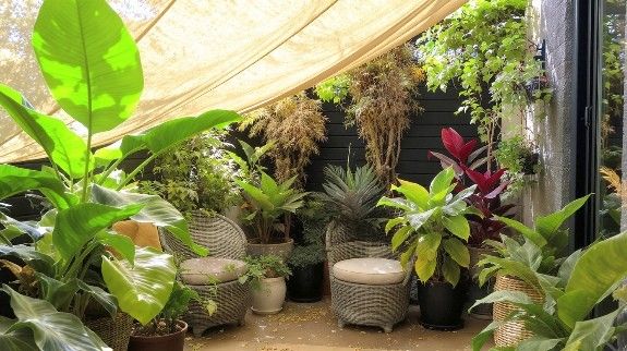 Tropical patio garden with wicker chairs.
