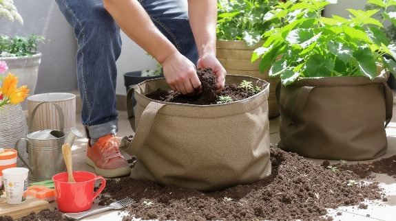 Gardener preparing soil in grow bags.