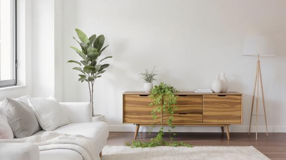 Modern living room with floor plant.
