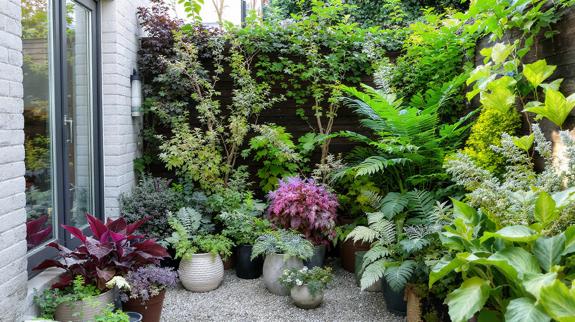 Compact courtyard garden filled with greenery.